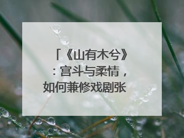 《山有木兮》：宫斗与柔情，如何兼修戏剧张力？｜微剧评