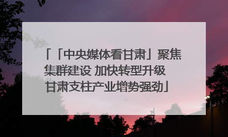「中央媒体看甘肃」聚焦集群建设 加快转型升级 甘肃支柱产业增势强劲