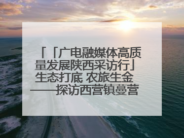 「广电融媒体高质量发展陕西采访行」生态打底 农旅生金——探访西营镇蔓营村省级旅游示范村的振兴密码