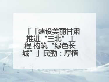 「建设美丽甘肃 推进“三北”工程 构筑“绿色长城”」民勤：厚植生态底色 筑牢绿色屏障