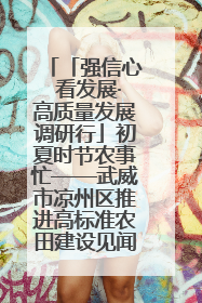 「强信心 看发展·高质量发展调研行」初夏时节农事忙——武威市凉州区推进高标准农田建设见闻