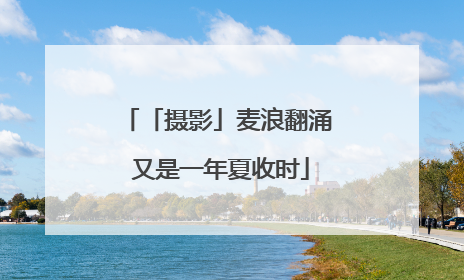 「摄影」麦浪翻涌 又是一年夏收时