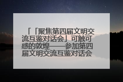 「聚焦第四届文明交流互鉴对话会」可触可感的敦煌——参加第四届文明交流互鉴对话会的外宾参观上元市集