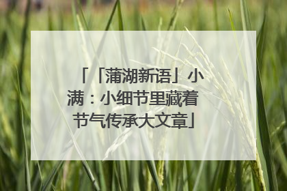 「蒲湖新语」小满：小细节里藏着节气传承大文章