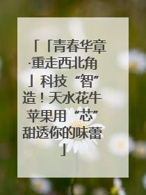 「青春华章·重走西北角」科技“智”造！天水花牛苹果用“芯”甜透你的味蕾