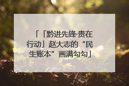 「黔进先锋·贵在行动」赵大志的“民生账本”画满勾勾