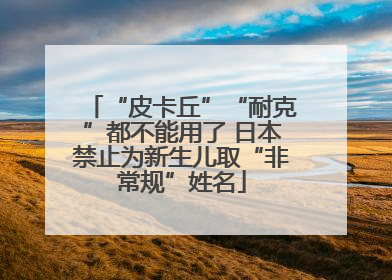 “皮卡丘”“耐克”都不能用了 日本禁止为新生儿取“非常规”姓名