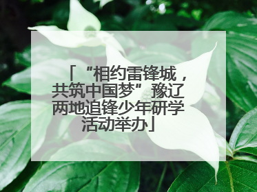 “相约雷锋城，共筑中国梦”豫辽两地追锋少年研学活动举办