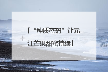 “种质密码”让元江芒果甜蜜持续