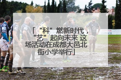 “科”燃新时代，“艺”起向未来 这场活动在成都大邑北街小学举行
