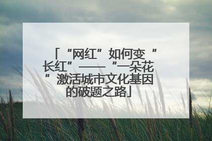 “网红”如何变“长红”——“一朵花”激活城市文化基因的破题之路