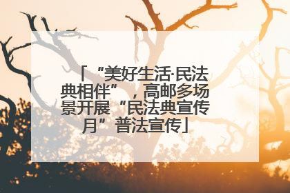 “美好生活·民法典相伴”，高邮多场景开展“民法典宣传月”普法宣传