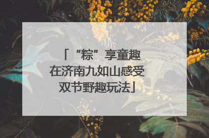 “粽”享童趣 在济南九如山感受双节野趣玩法