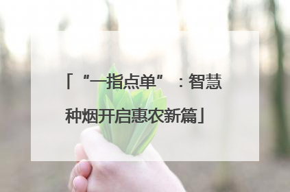 “一指点单”：智慧种烟开启惠农新篇