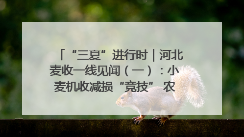 “三夏”进行时｜河北麦收一线见闻（一）：小麦机收减损“竞技” 农机高手麦田“过招”