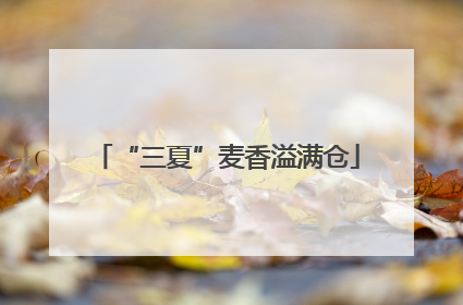 “三夏”麦香溢满仓