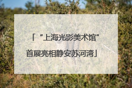 “上海光影美术馆”首展亮相静安苏河湾