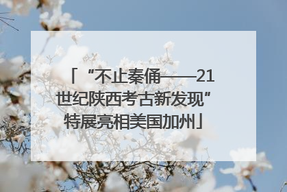 “不止秦俑——21世纪陕西考古新发现”特展亮相美国加州