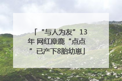 “与人为友”13年 网红麋鹿“点点”已产下8胎幼崽