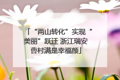 “两山转化”实现“美丽”跃迁 浙江瑞安曹村满是幸福颜