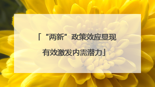 “两新”政策效应显现 有效激发内需潜力