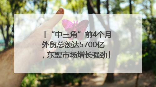 “中三角”前4个月外贸总额达5700亿，东盟市场增长强劲