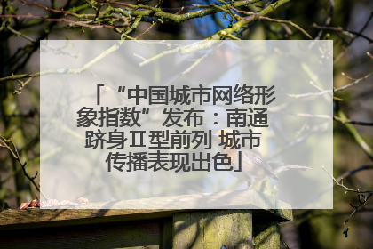 “中国城市网络形象指数”发布：南通跻身Ⅱ型前列 城市传播表现出色