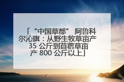 “中国草都” 阿鲁科尔沁旗：从野生牧草亩产 35 公斤到苜蓿草亩产 800 公斤以上