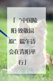 “中国陵阳·致敬屈原”端午诗会在青阳举行