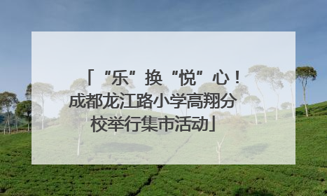 “乐”换“悦”心！成都龙江路小学高翔分校举行集市活动