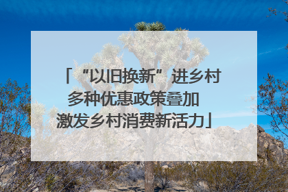 “以旧换新”进乡村 多种优惠政策叠加 激发乡村消费新活力