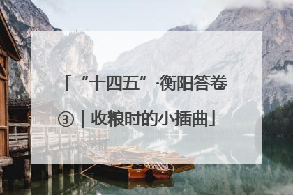 “十四五”·衡阳答卷③｜收粮时的小插曲