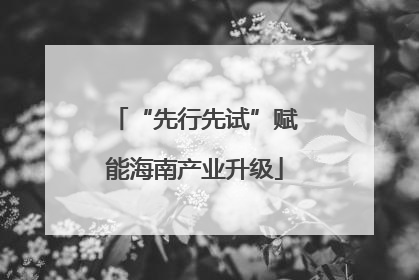 “先行先试”赋能海南产业升级