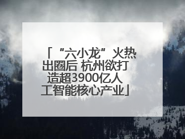 “六小龙”火热出圈后 杭州欲打造超3900亿人工智能核心产业