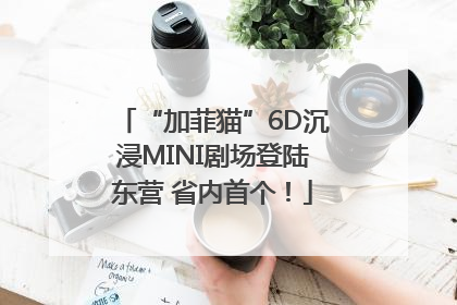 “加菲猫”6D沉浸MINI剧场登陆东营 省内首个！