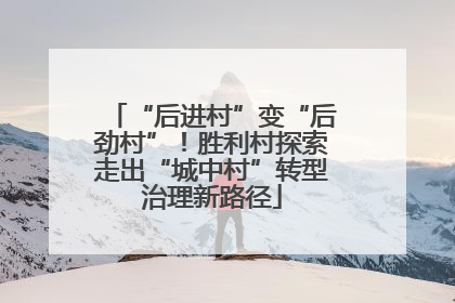 “后进村”变“后劲村”！胜利村探索走出“城中村”转型治理新路径