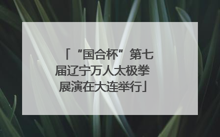 “国合杯”第七届辽宁万人太极拳展演在大连举行