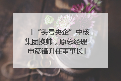 “头号央企”中核集团换帅，原总经理申彦锋升任董事长