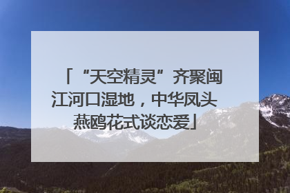 “天空精灵”齐聚闽江河口湿地，中华凤头燕鸥花式谈恋爱