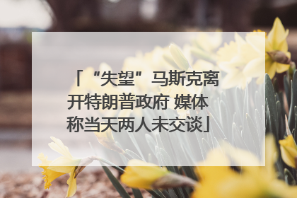 “失望”马斯克离开特朗普政府 媒体称当天两人未交谈