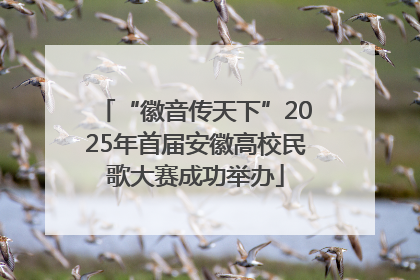 “徽音传天下”2025年首届安徽高校民歌大赛成功举办