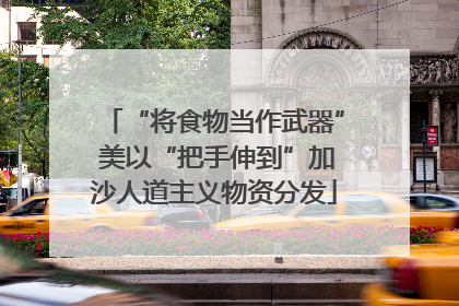 “将食物当作武器” 美以“把手伸到”加沙人道主义物资分发