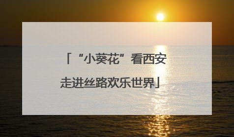 “小葵花”看西安走进丝路欢乐世界