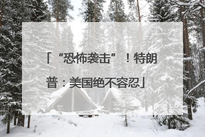 “恐怖袭击”！特朗普：美国绝不容忍
