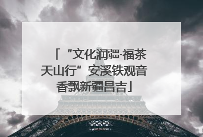 “文化润疆·福茶天山行”安溪铁观音香飘新疆昌吉