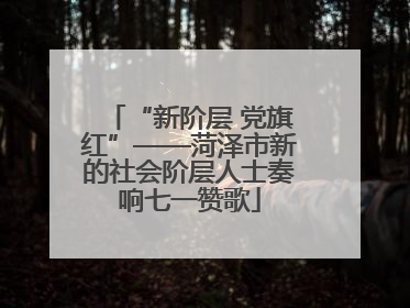 “新阶层 党旗红”——菏泽市新的社会阶层人士奏响七一赞歌