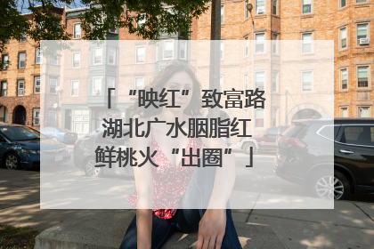 “映红”致富路 湖北广水胭脂红鲜桃火“出圈”