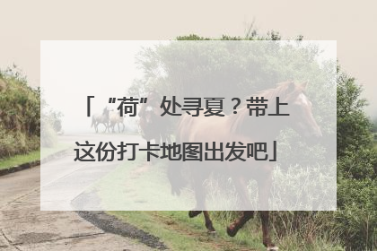 “荷”处寻夏？带上这份打卡地图出发吧