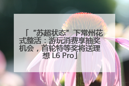 “苏超状态”下常州花式整活：游玩消费享抽奖机会，首轮特等奖将送理想 L6 Pro