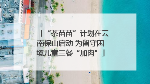“茶苗苗”计划在云南保山启动 为留守困境儿童三餐“加肉”